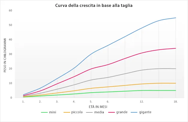 Curca della crescita