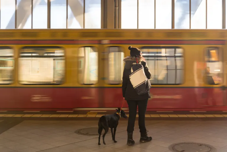 un cane e il suo proprietario aspettano il treno