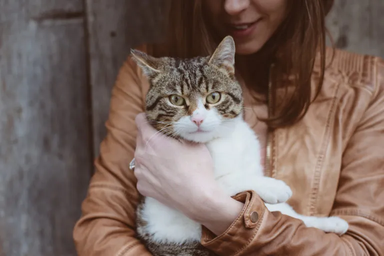 Differenze tra proprietari di cani e proprietari di gatti