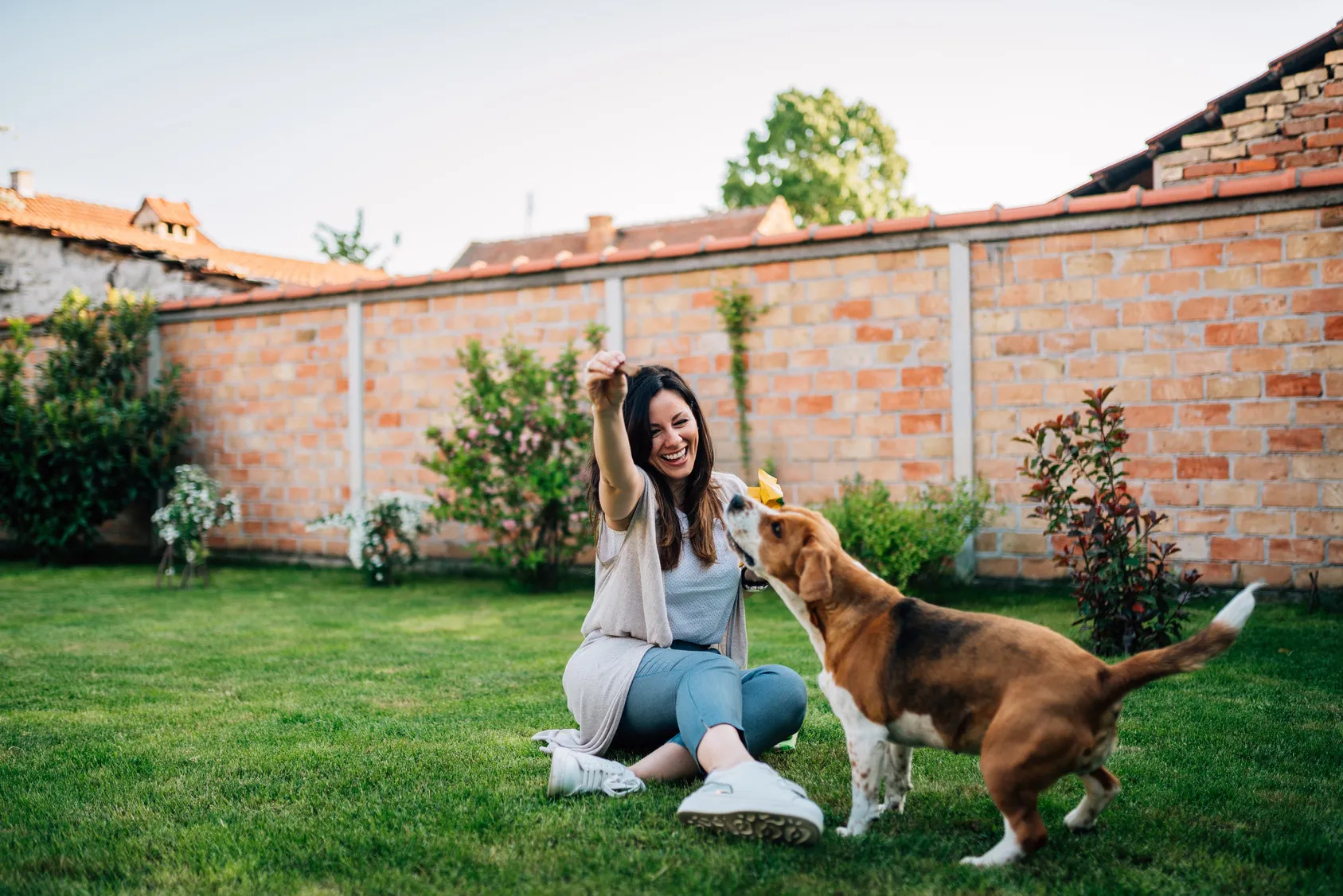 I segnali che dimostrano che il cane è felice