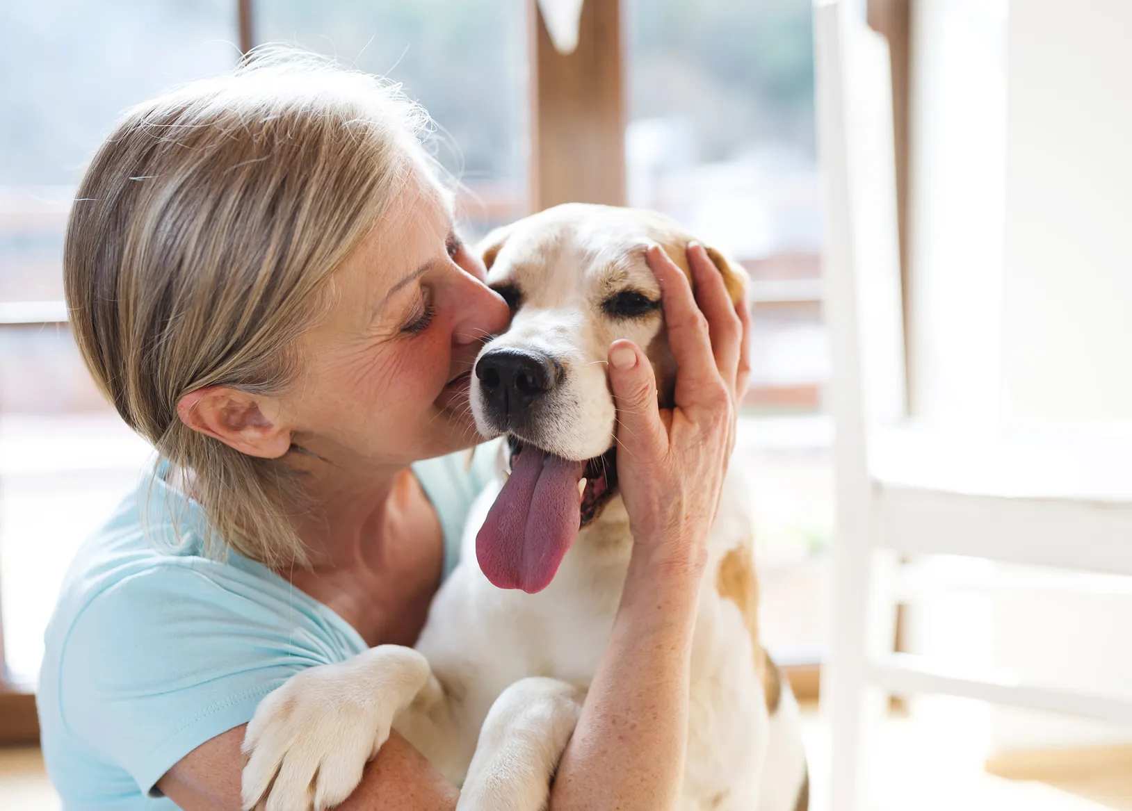 umano che bacia un cane