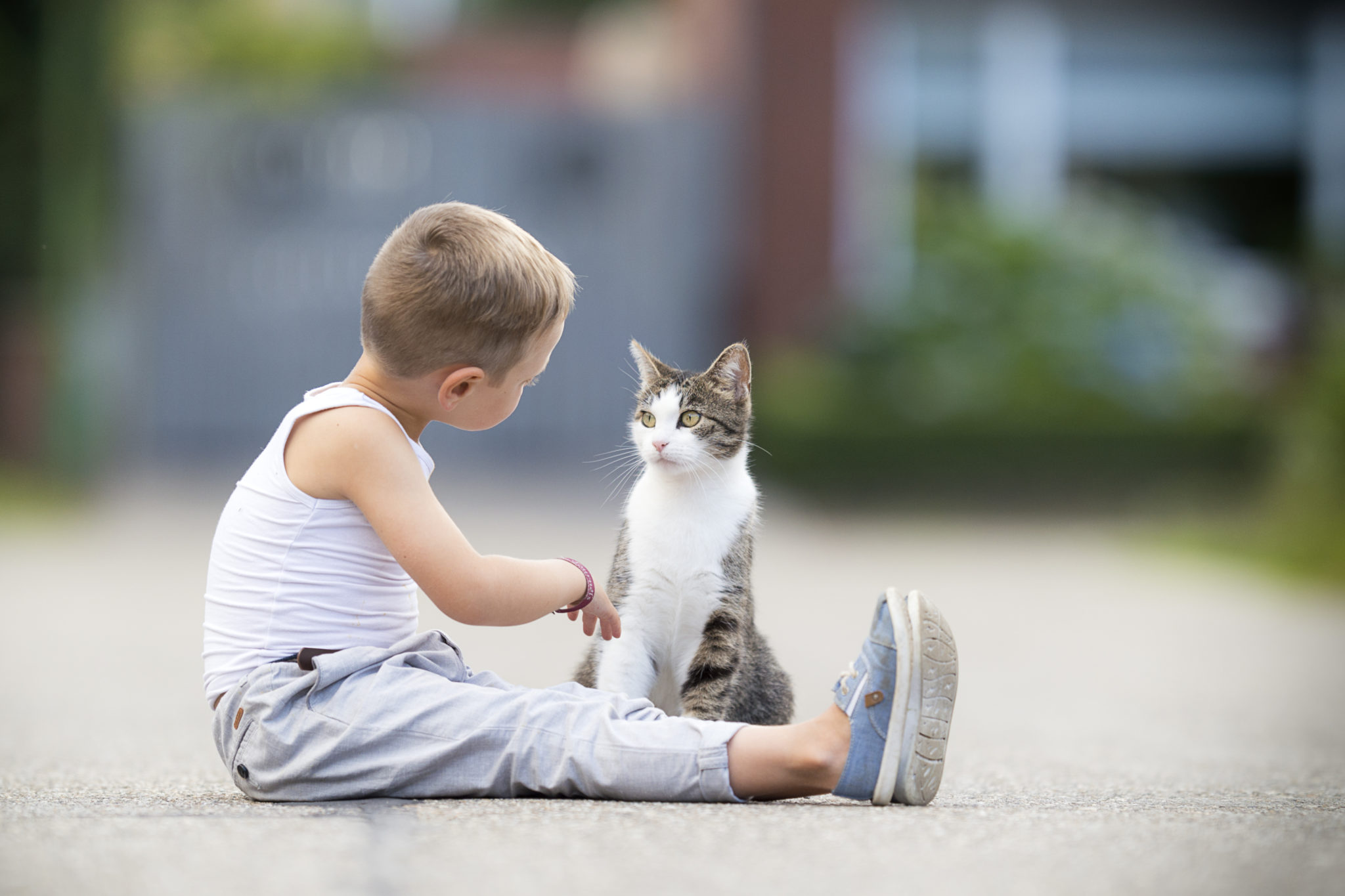 Convivere con un gatto fa bene ai bambini