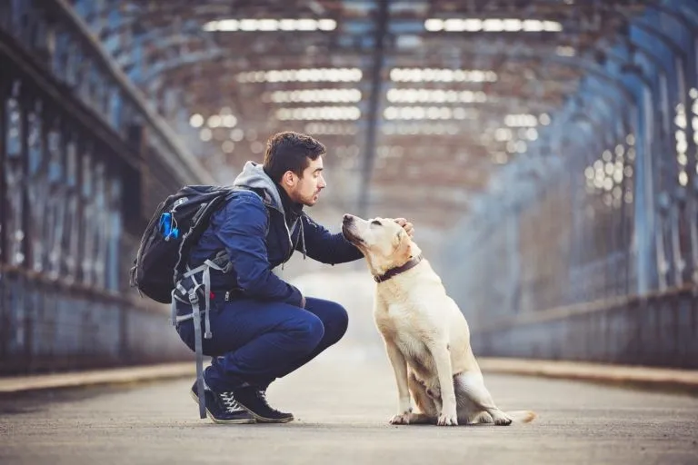 vacanze con il cane