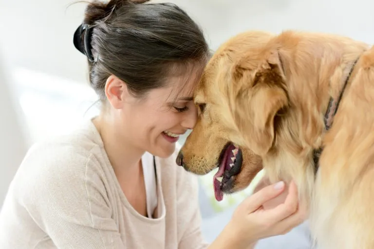 cosa sapere prima di adottare un cane