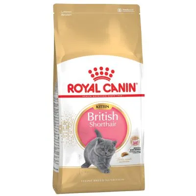 alimentazione british shorthair