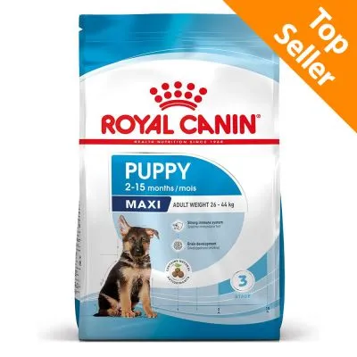 royal canin maxi puppy crocchette cane