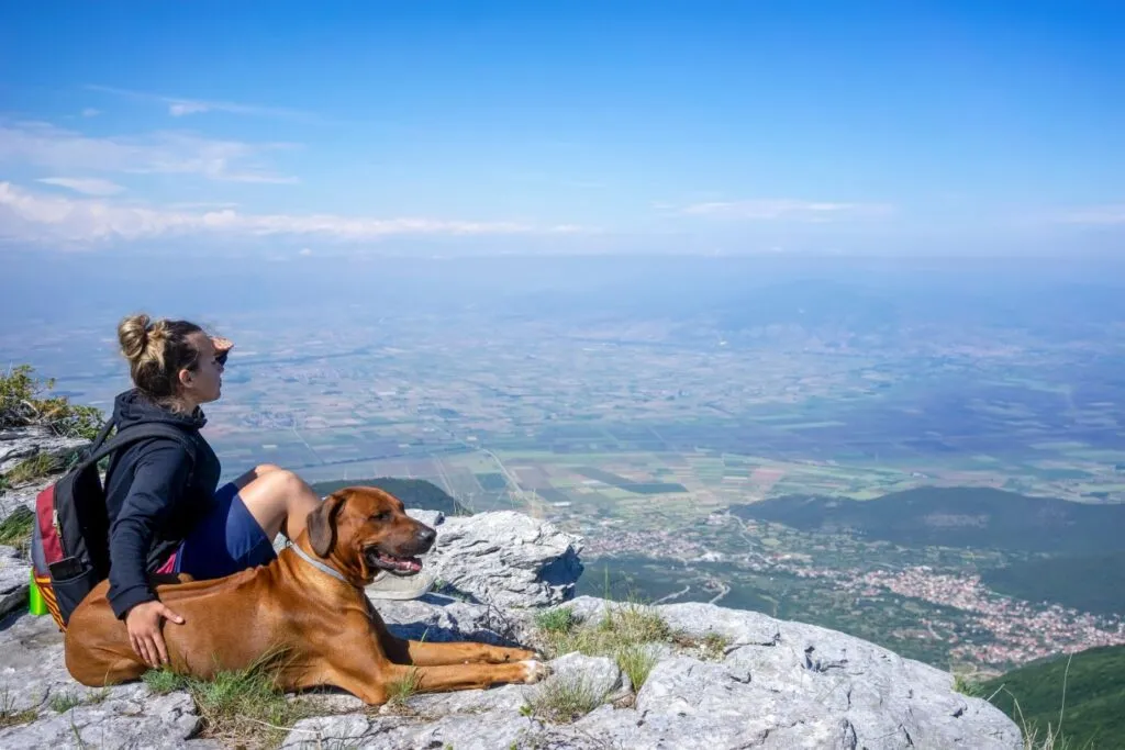 ragazza con Rhodesian ridgeback in montagna