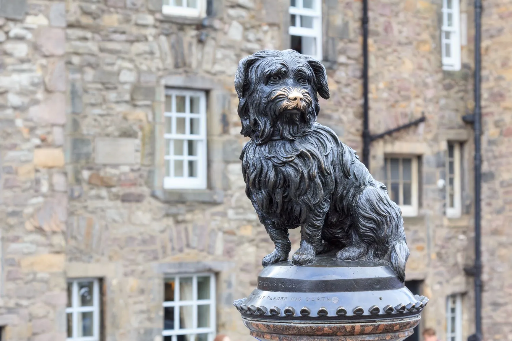 Skye Terrier Greyfriars Bobby