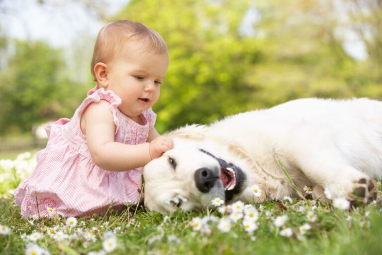 bebè gioca con cane