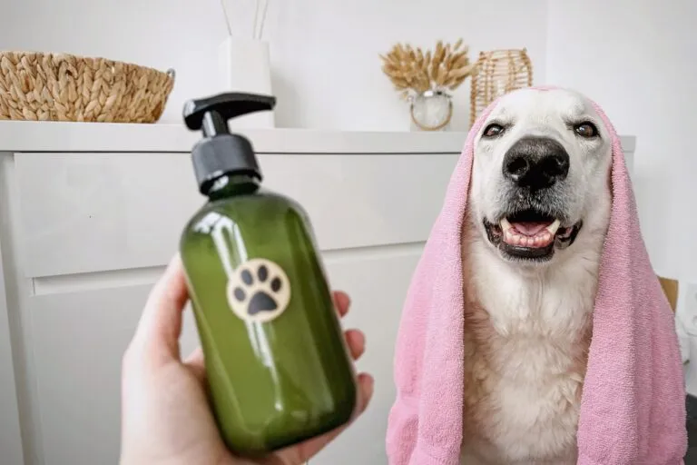 shampoo cani fatto in casa