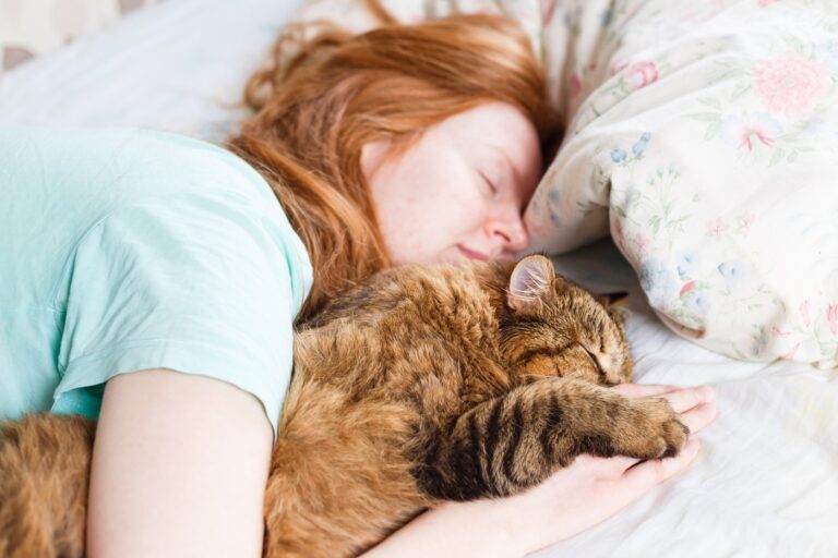 Sognare un gatto: cosa vuol dire il gatto nei sogni