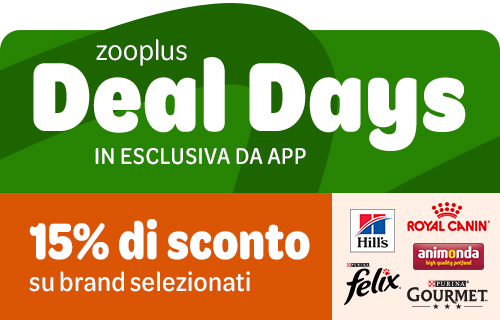 Deal Days